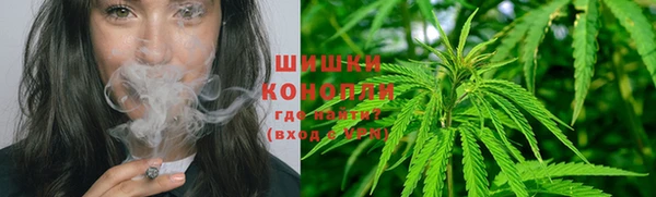 трава Новодвинск