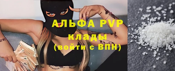 трава Новодвинск