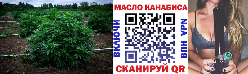 ТГК гашишное масло  закладки  Шелехов 