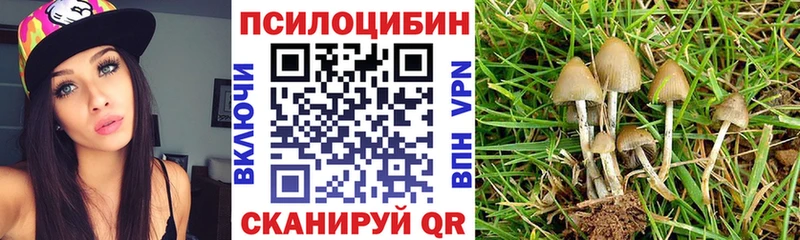 цены наркотик  Шелехов  Псилоцибиновые грибы Cubensis 